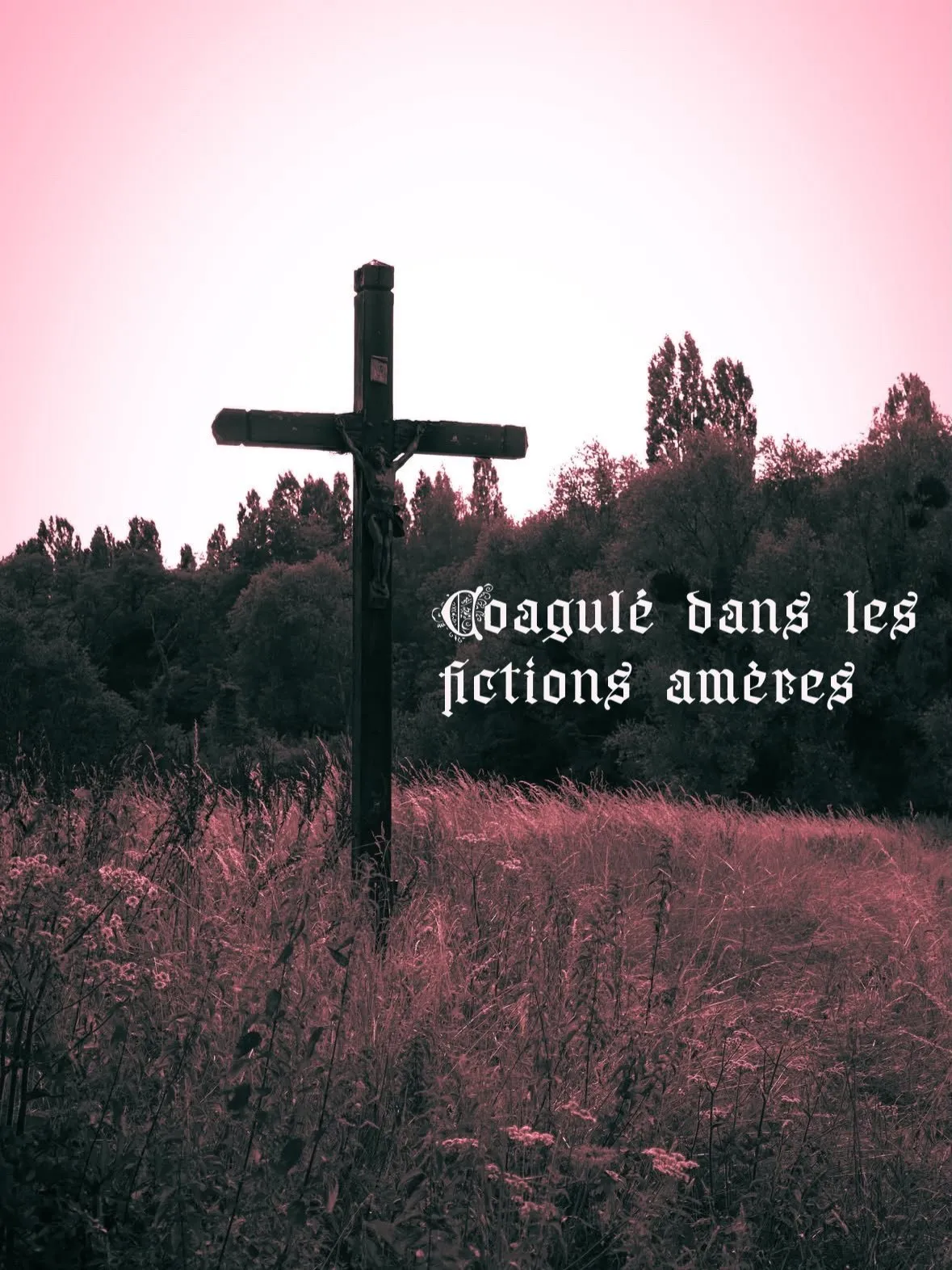Visions from the Cross
